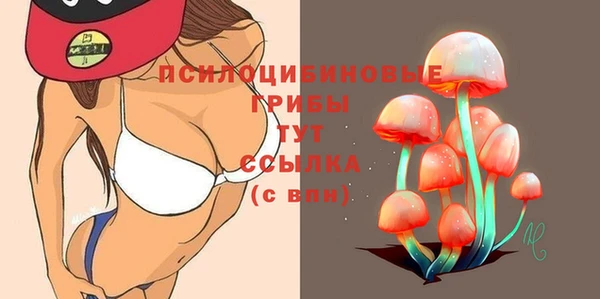 ПСИЛОЦИБИНОВЫЕ ГРИБЫ Магас