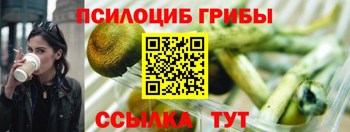 Псилоцибиновые грибы мухоморы Когалым